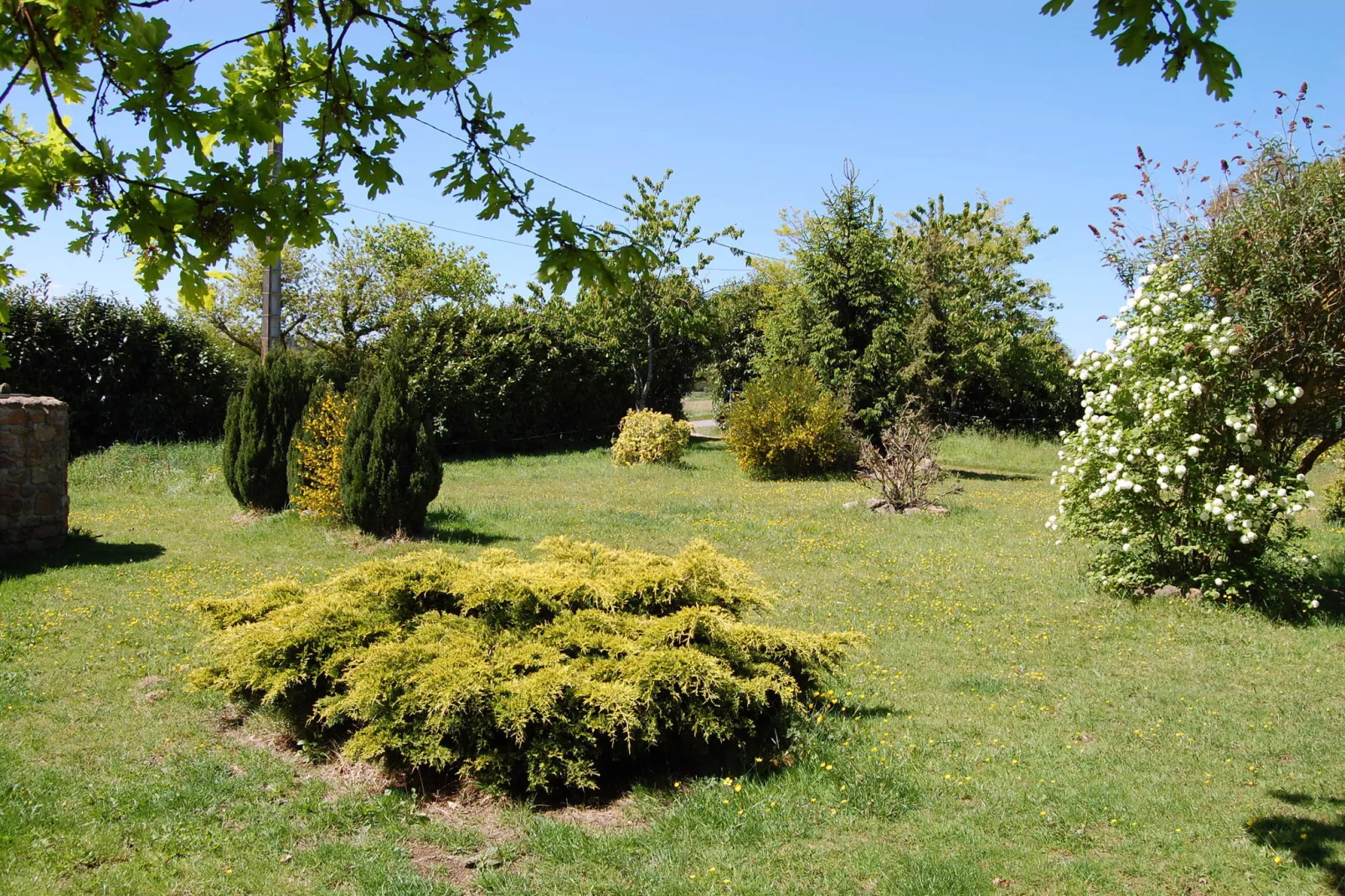Les Volets Bleus-Gardens summer