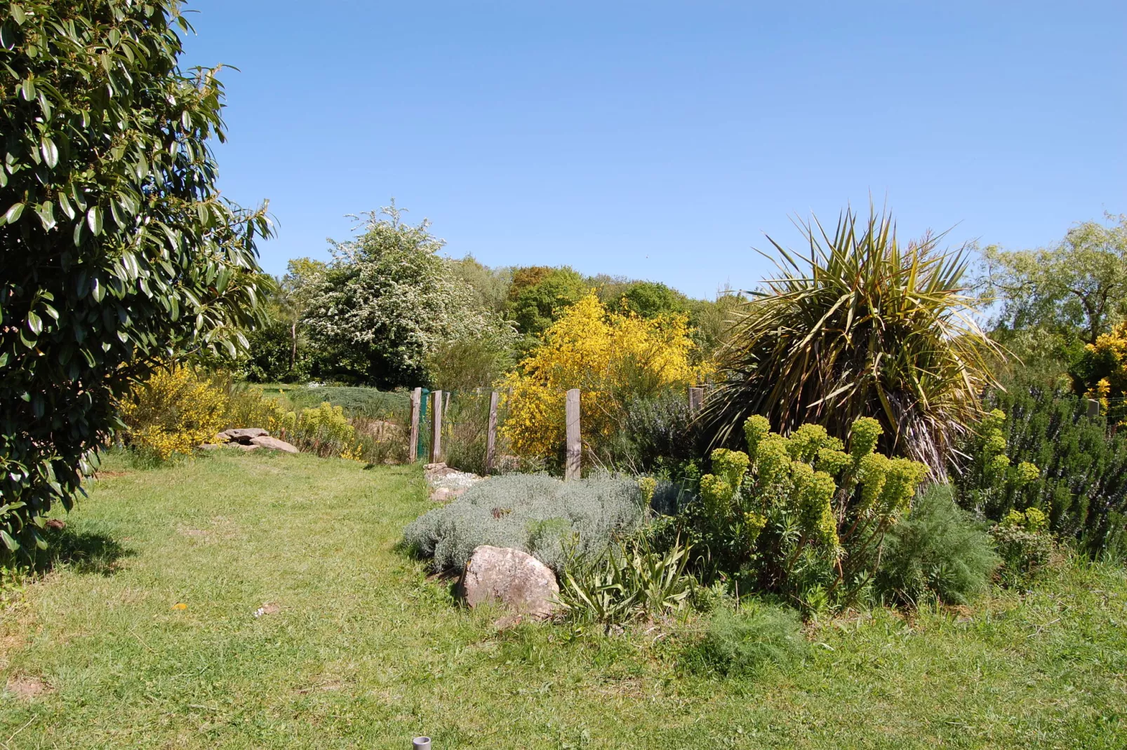 Les Volets Bleus-Gardens summer
