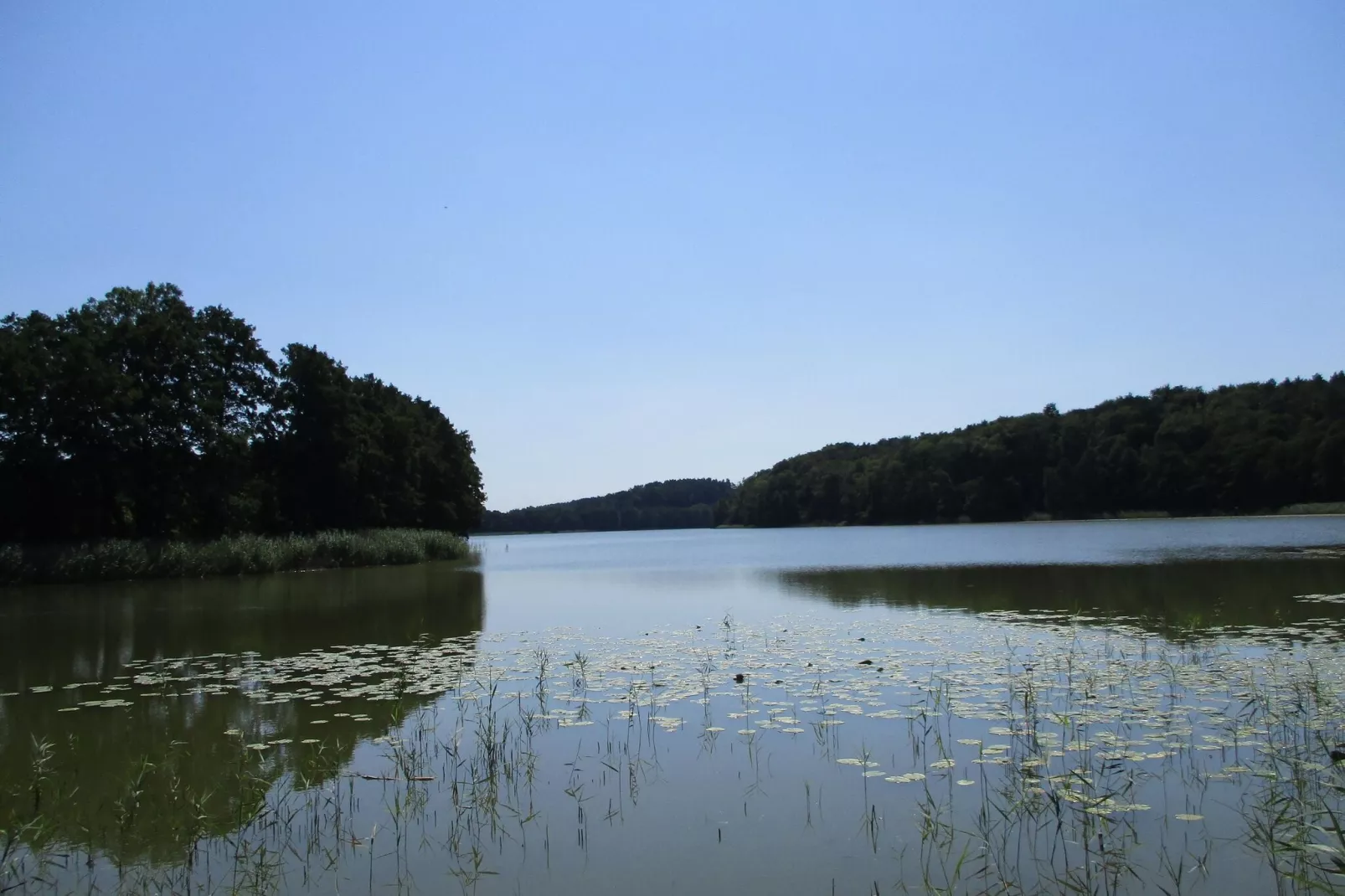 Dom wakacyjny dla miłośników przyrody-Gebiete Sommer 1 km