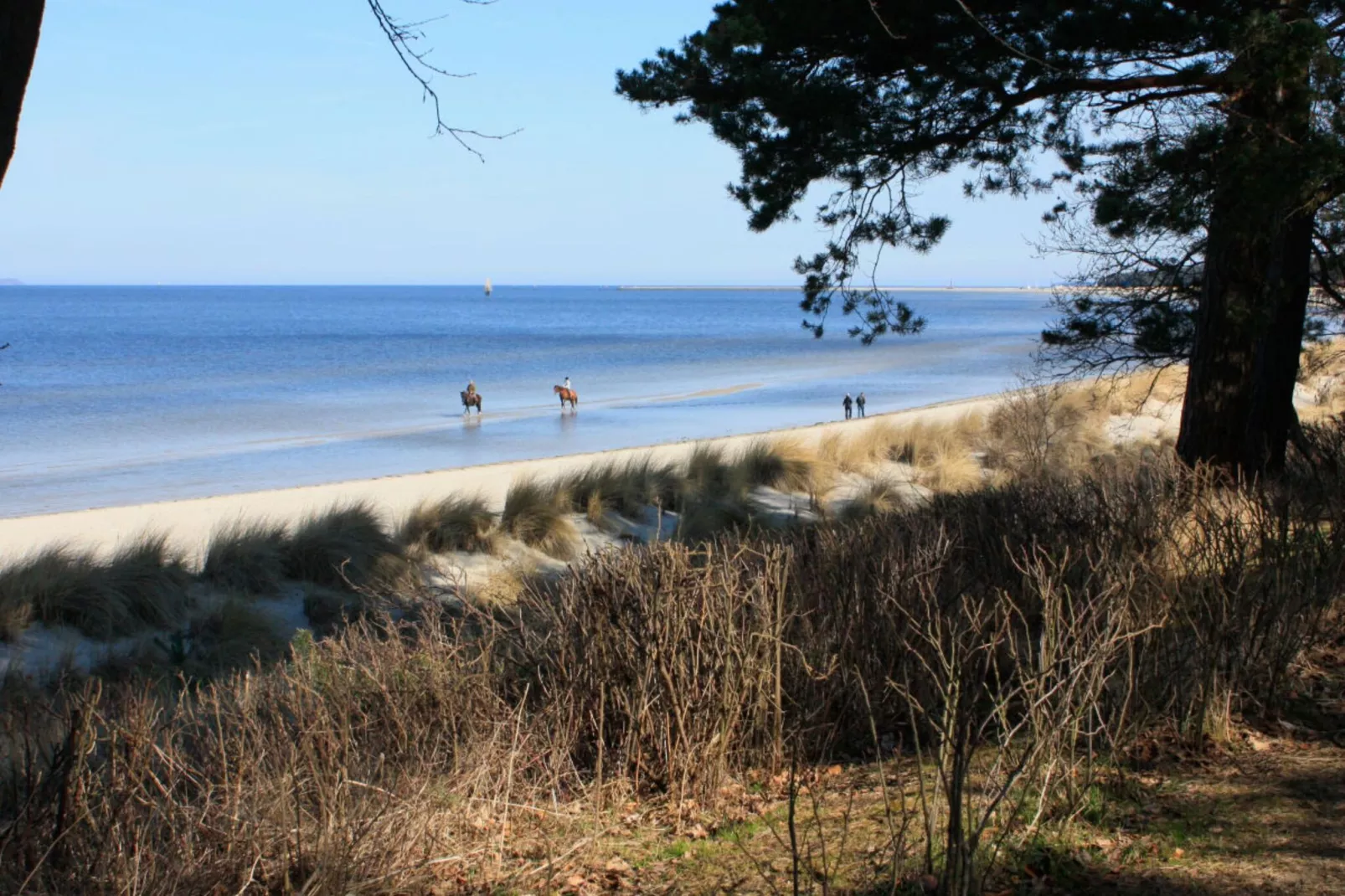 42359-Aussicht Sommer