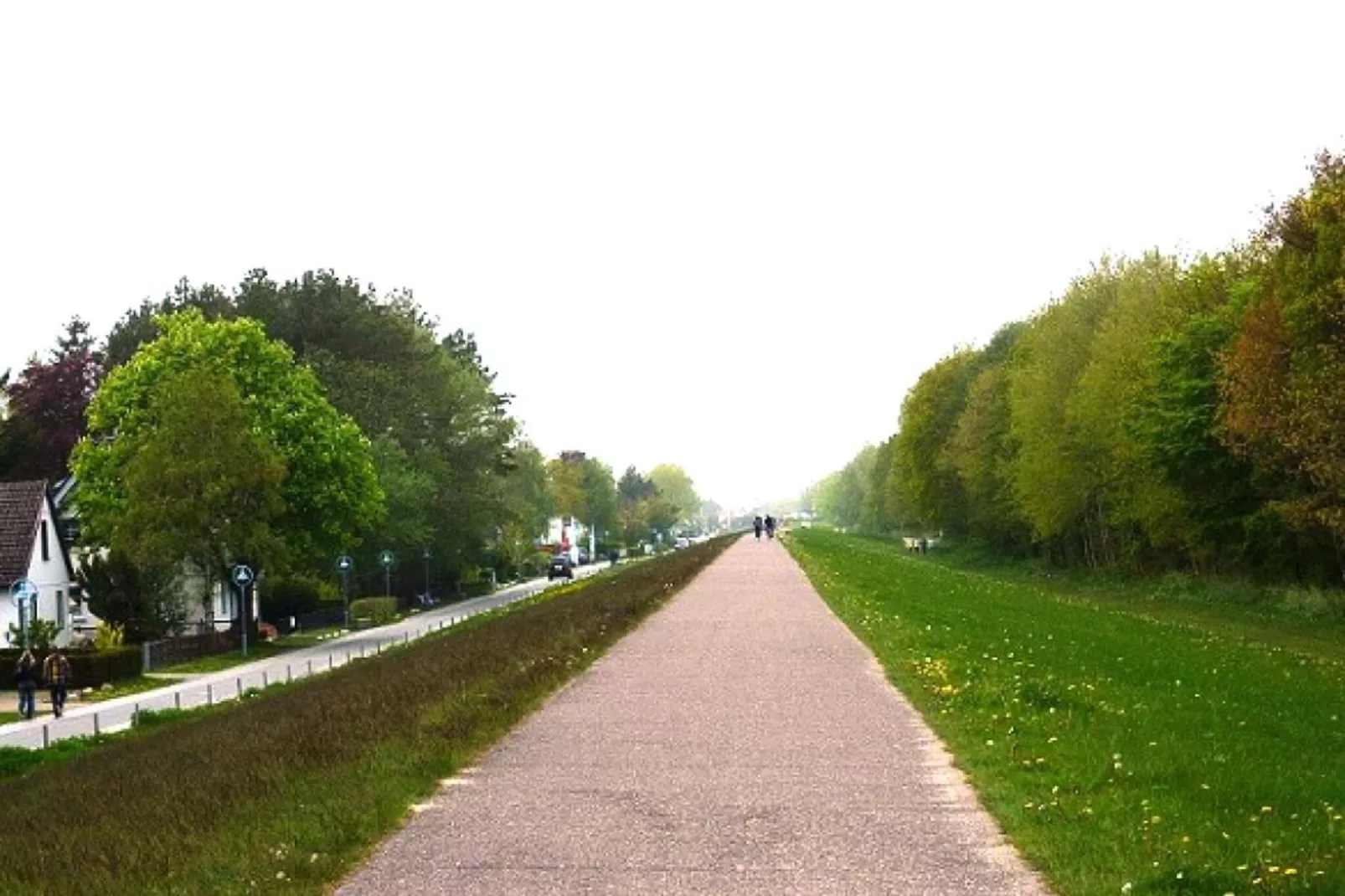 44446-Aussicht Sommer