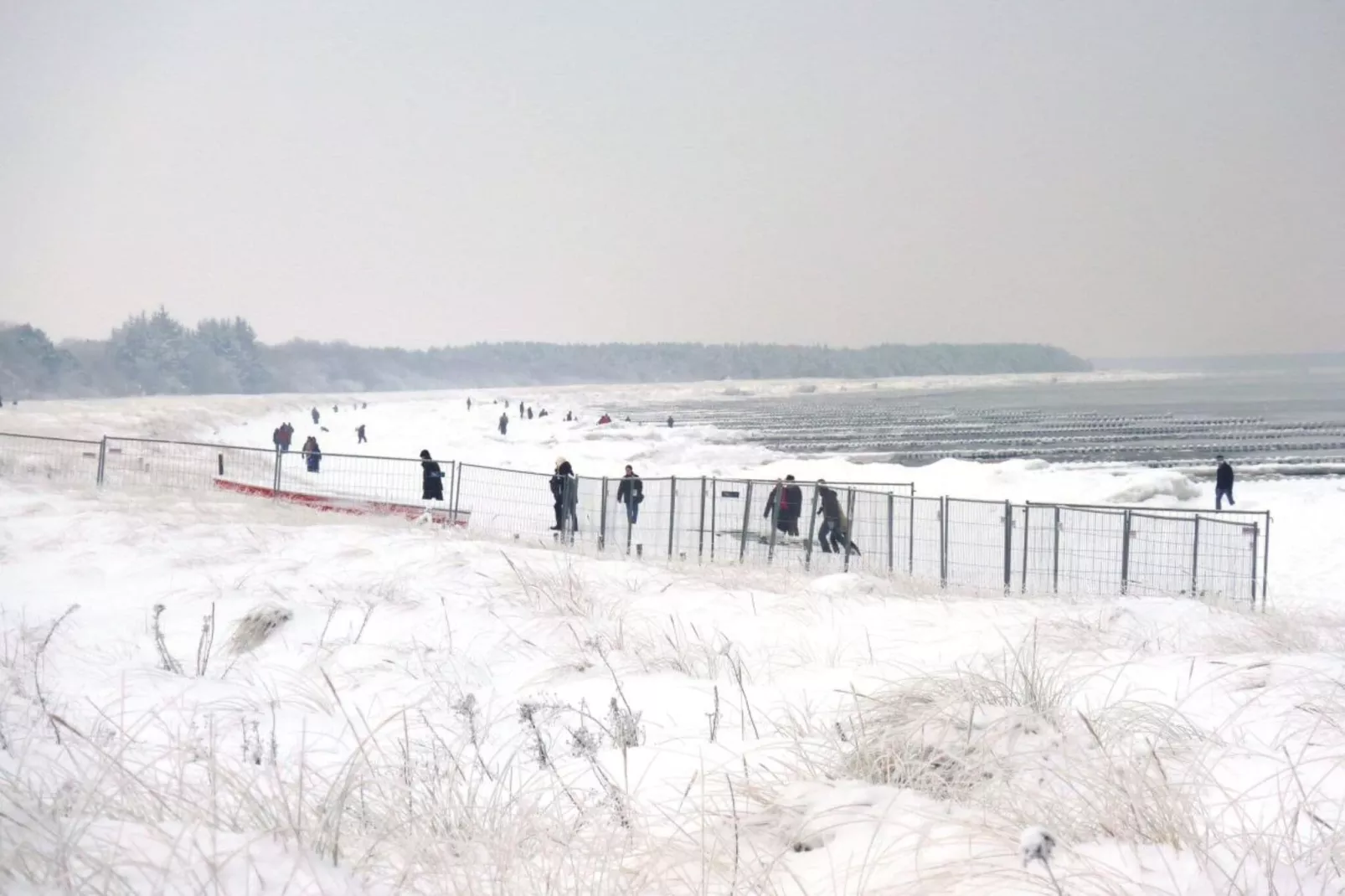 44446-Aussicht Winter