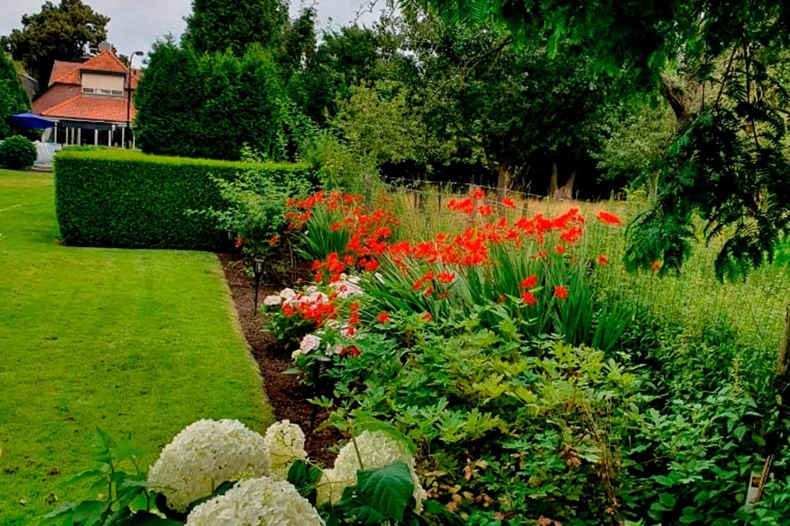 BnB van Duin-Gardens summer