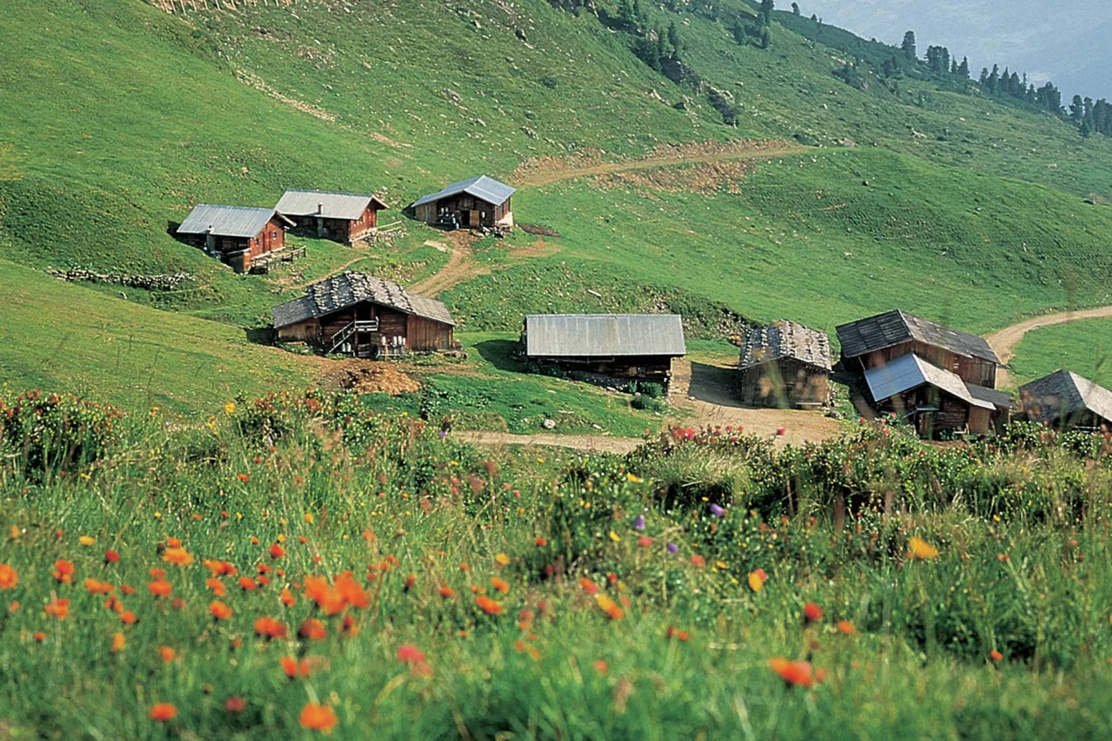 Rieser-Areas summer 5km
