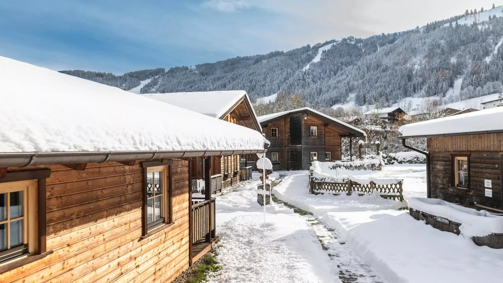 Urige Doppelhaushälfte 2-Exterior winter