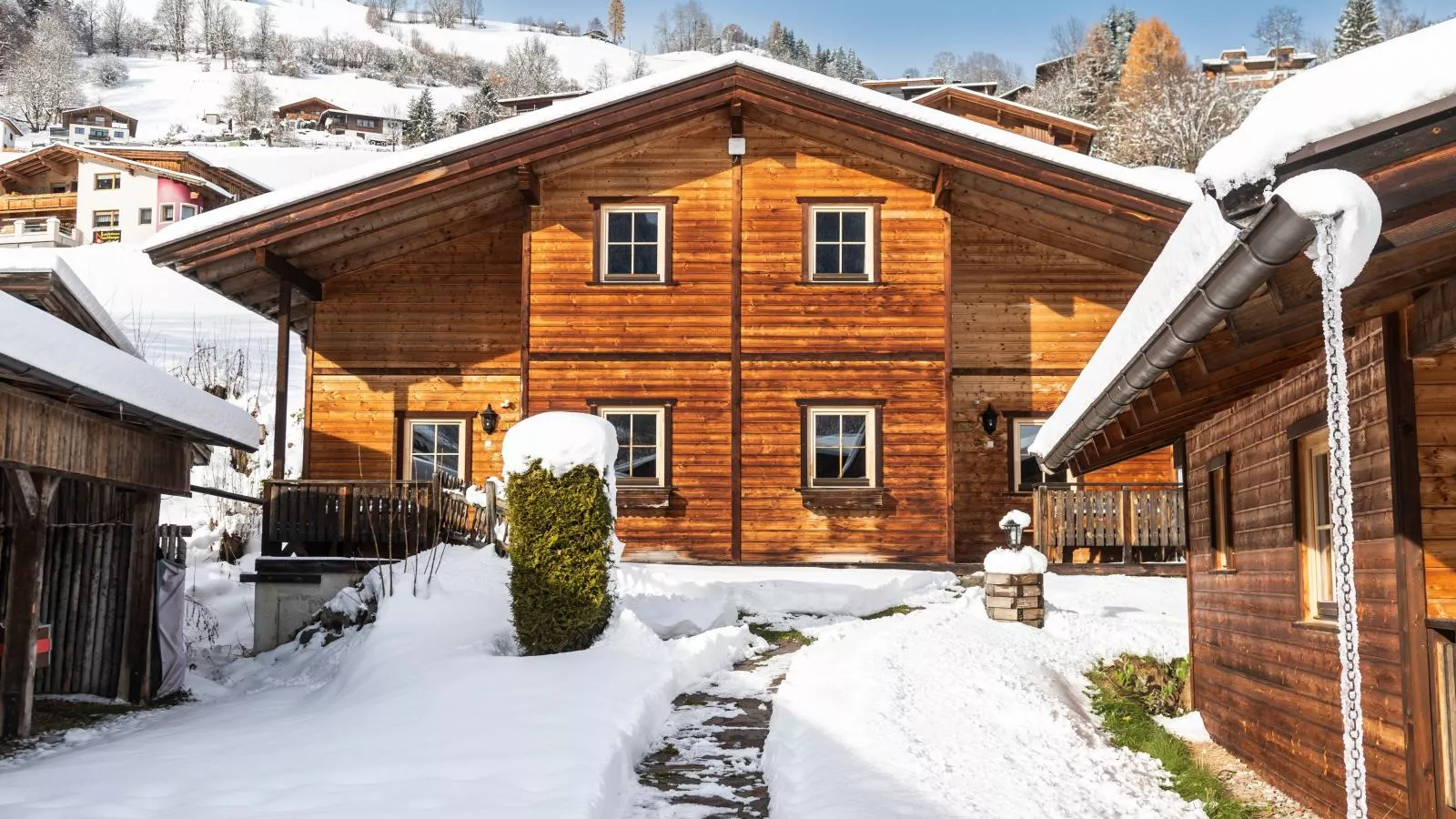 Urige Doppelhaushälften 1 und 2-Exterior winter