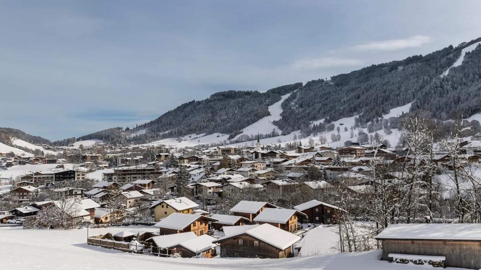Urige Doppelhaushälften 1 und 2-Area winter 20km