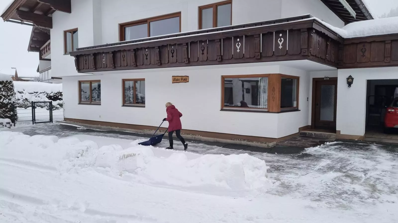 Wald XXL-Exterior winter