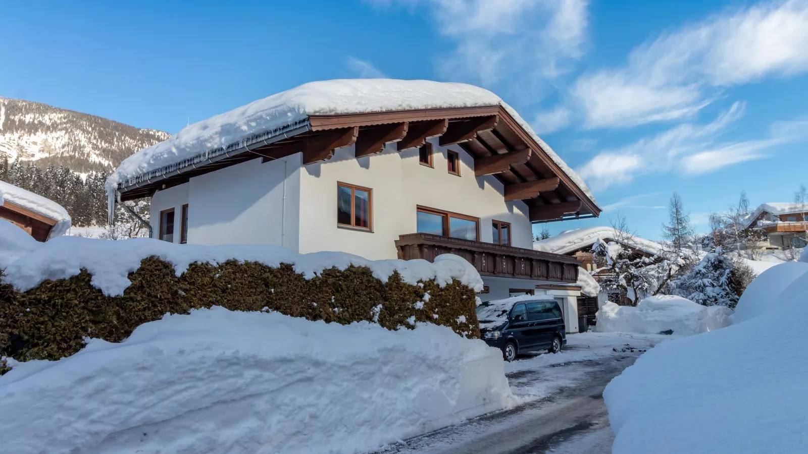 Wald XXL-Exterior winter