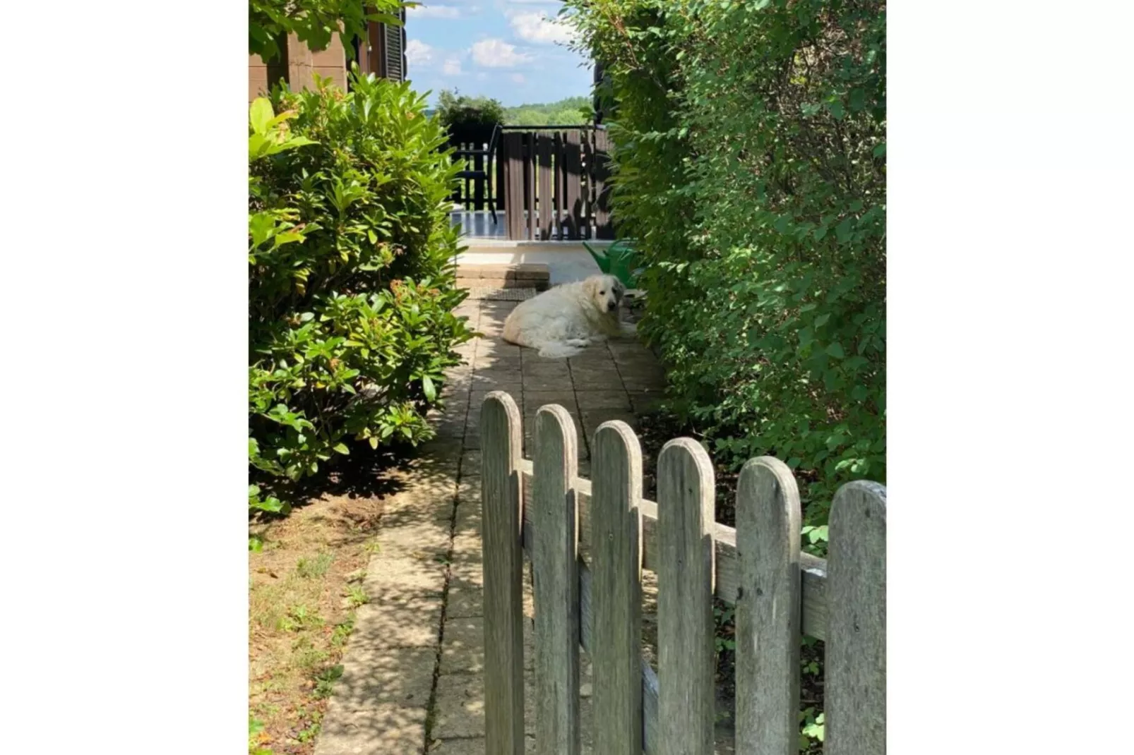 11770-Exterior summer