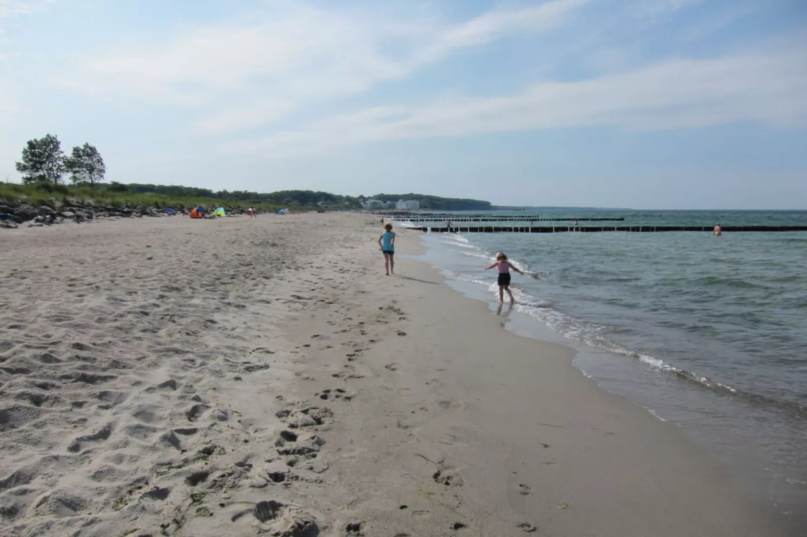 54678-Areas summer 5km
