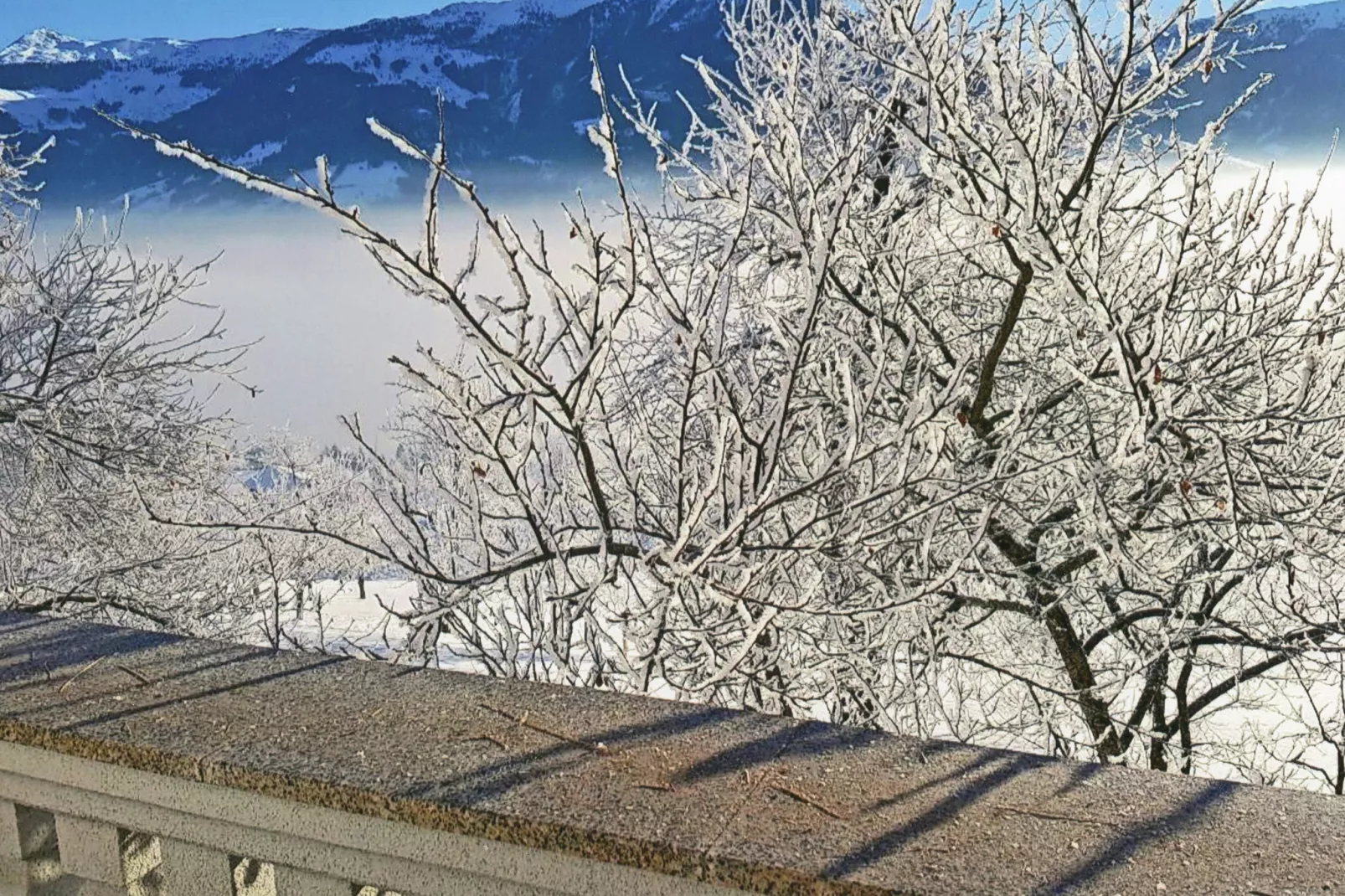 Steigerhof-Vue d'hiver