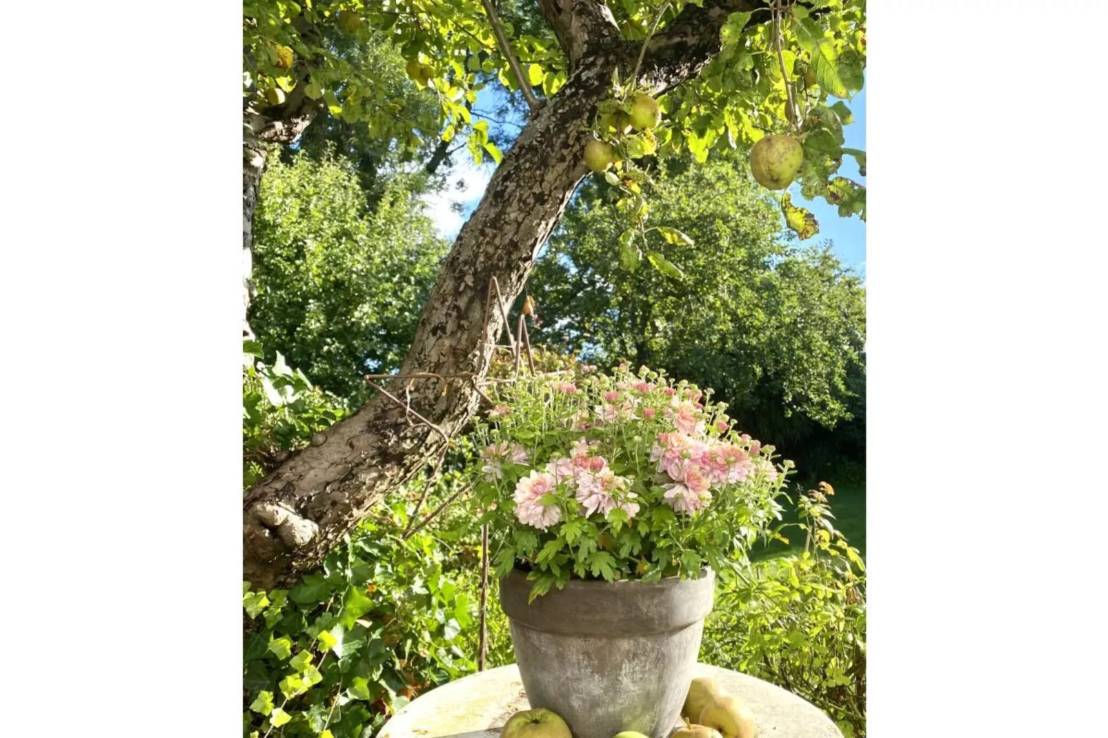 53713-Gardens summer