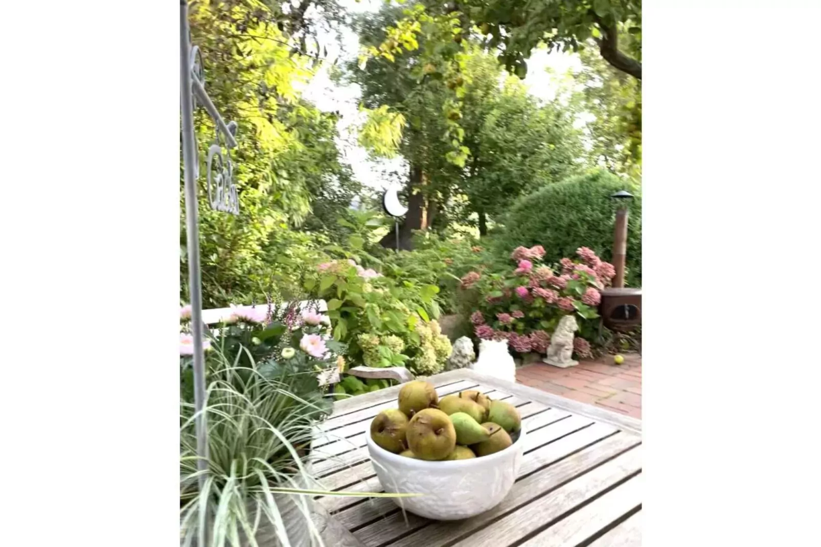 53713-Gardens summer
