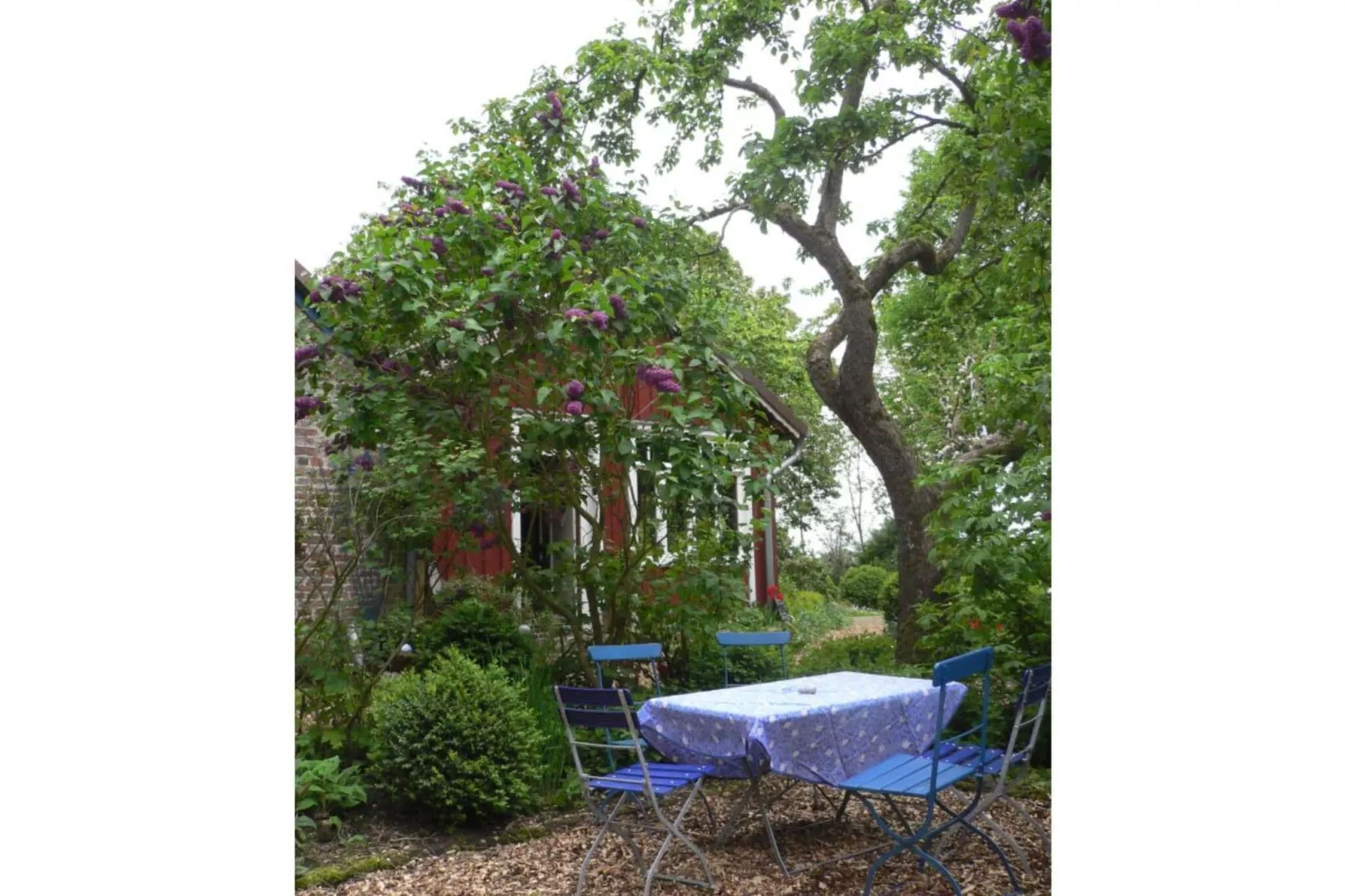 5231-Gardens summer