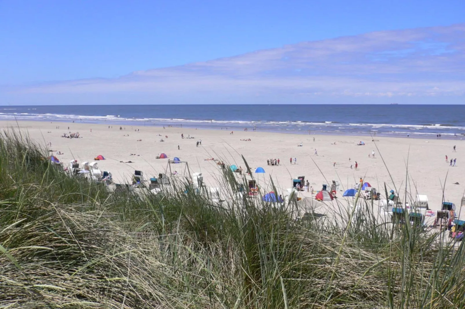 5231-View summer