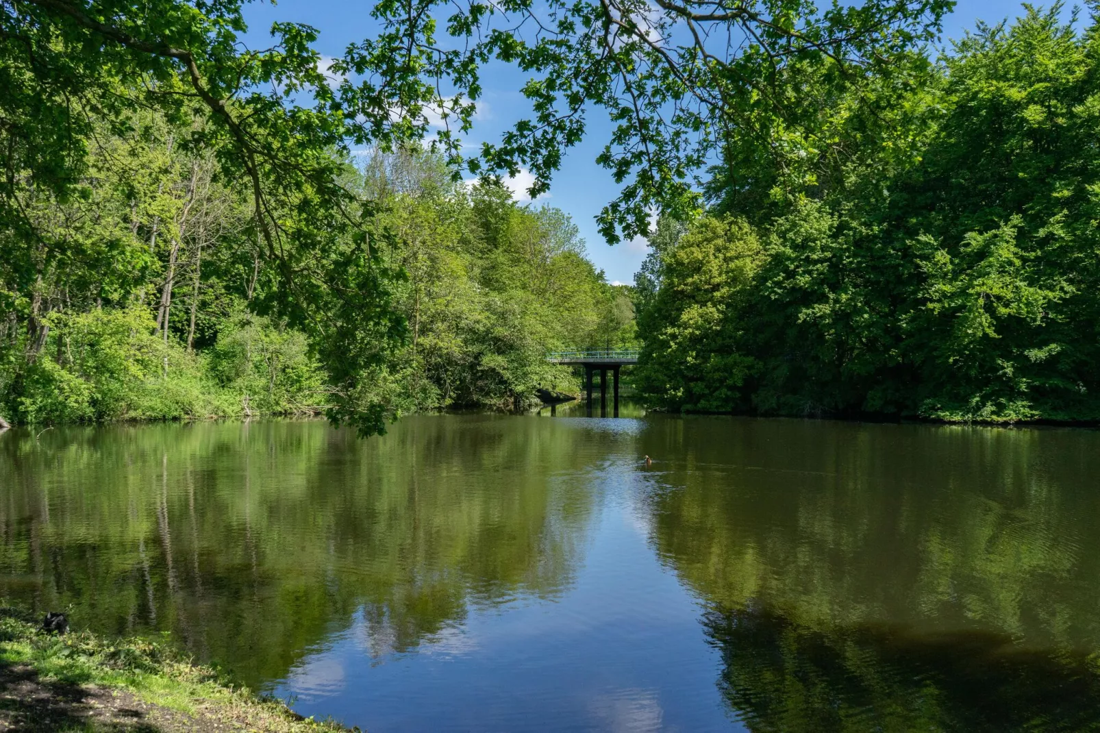 Resort Het Amsterdamse Bos 5-Areas summer 1km
