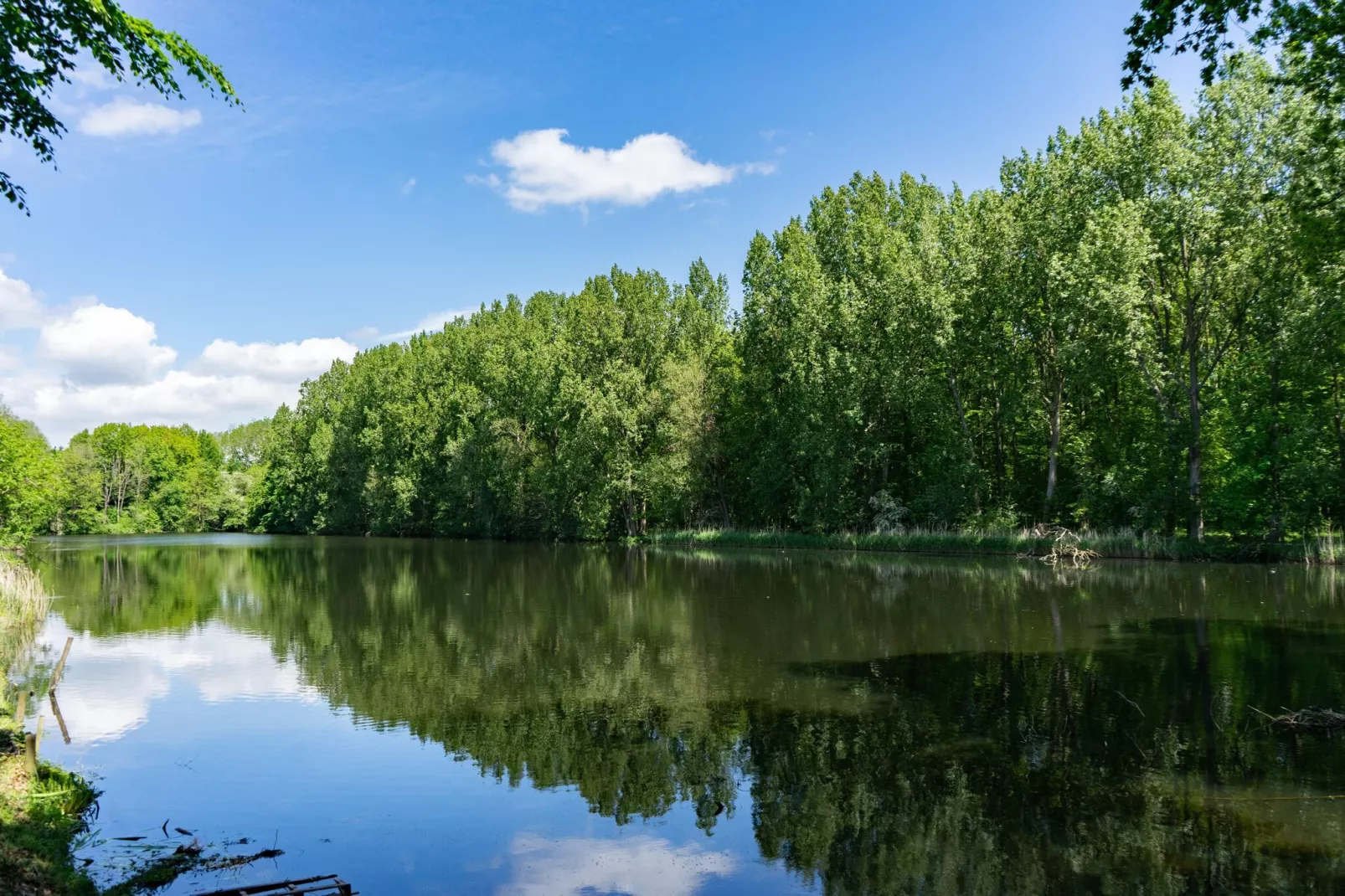 Resort Het Amsterdamse Bos 5-Areas summer 1km