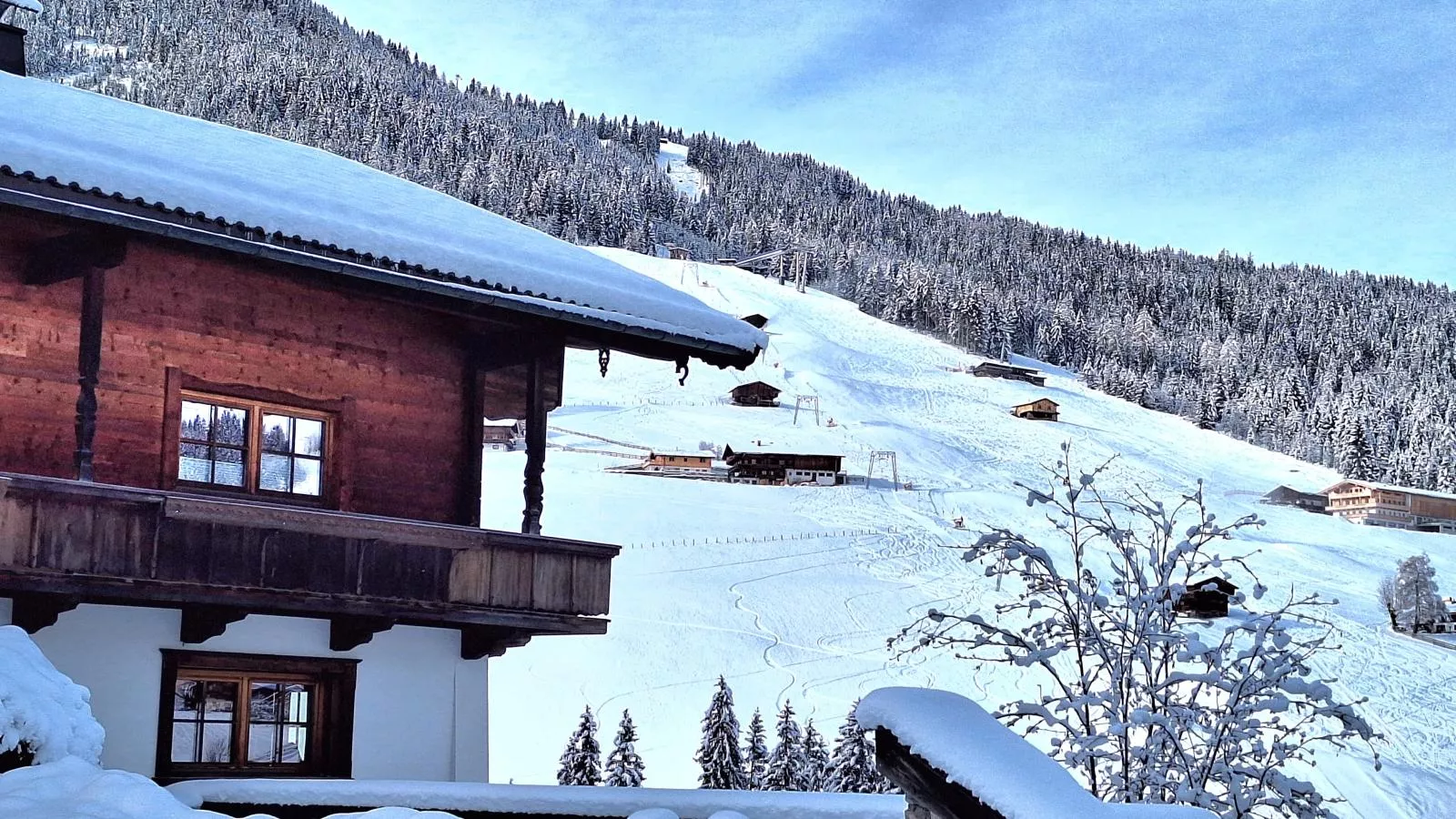 Birkheim-Exterior winter