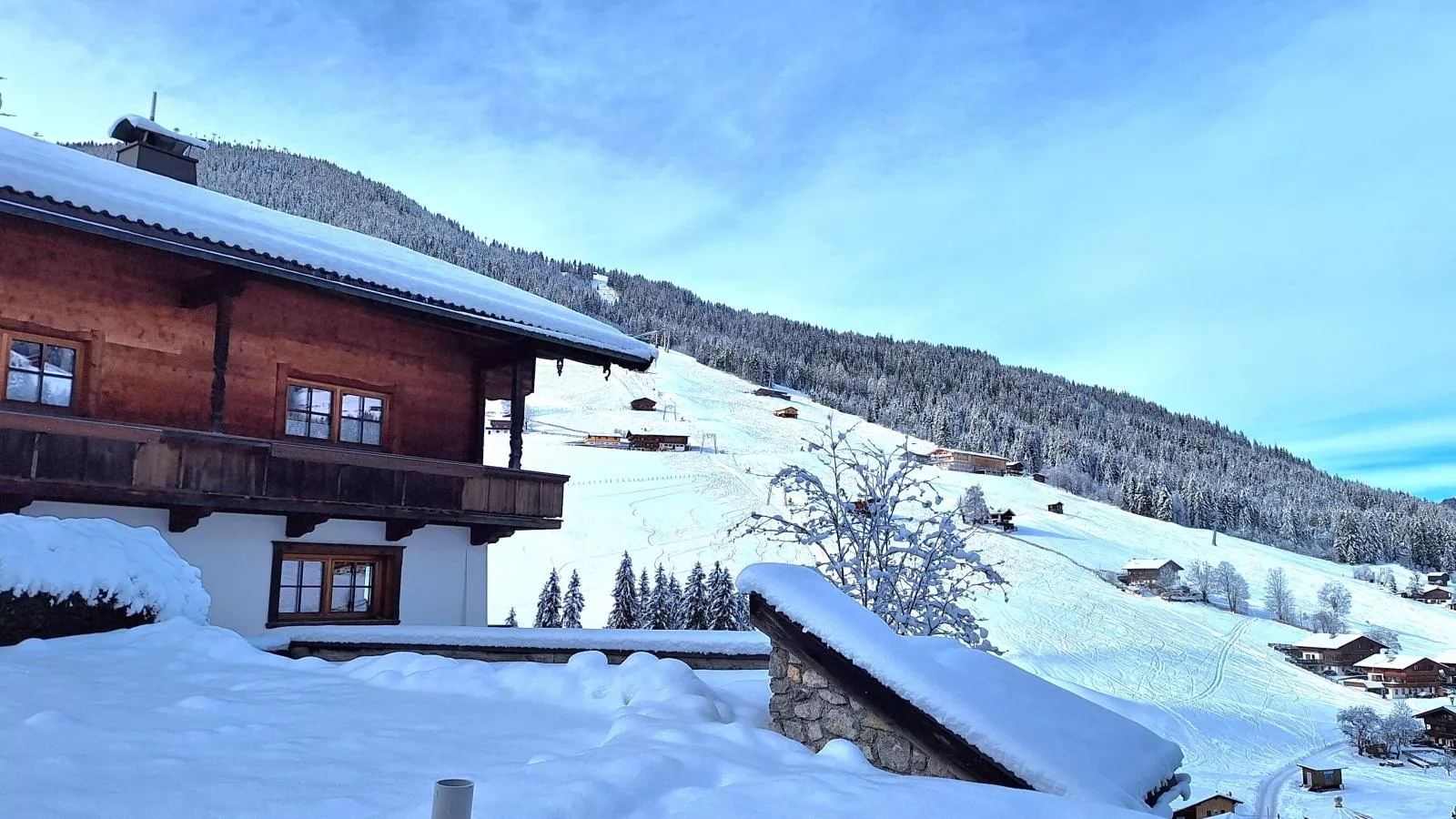 Birkheim-Exterior winter
