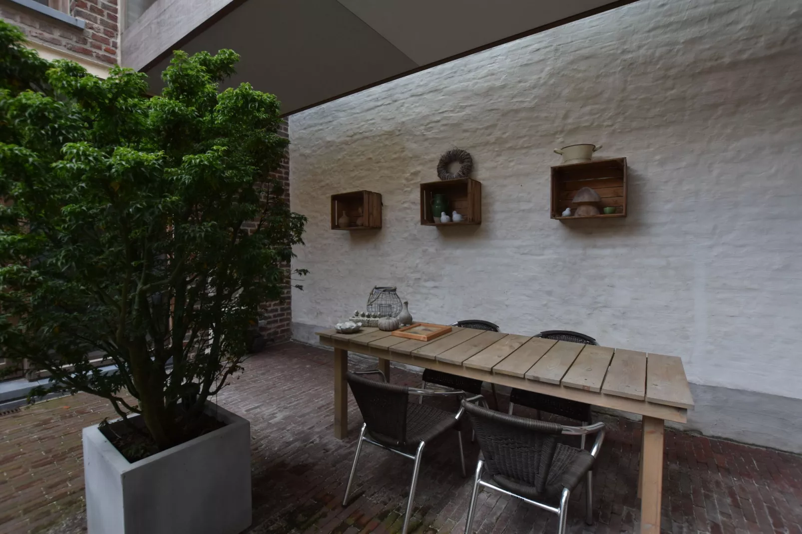 De bonte kat-Balcon-terrasse
