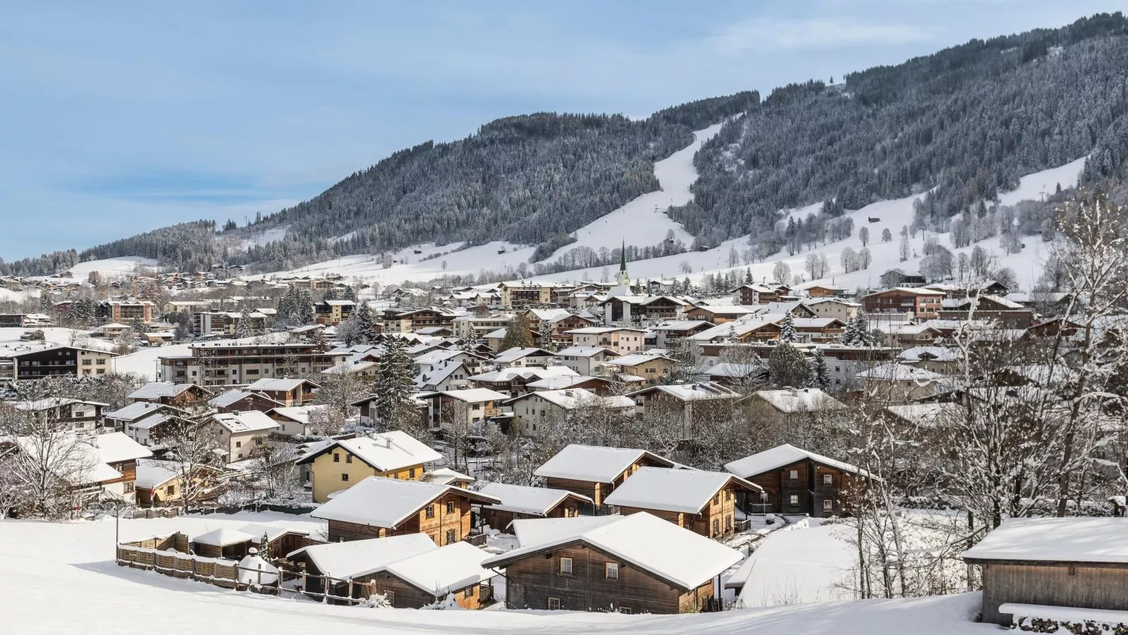 Uriges Chalet 7-Area winter 20km