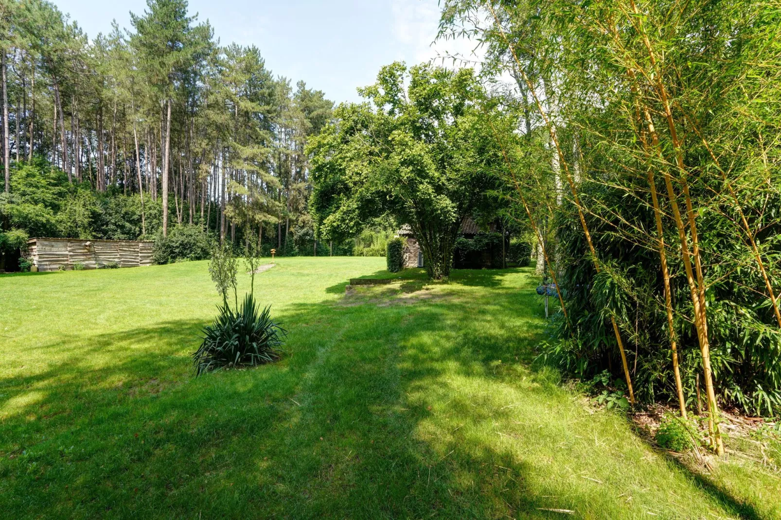 De Rundershoeve-Jardin d'été