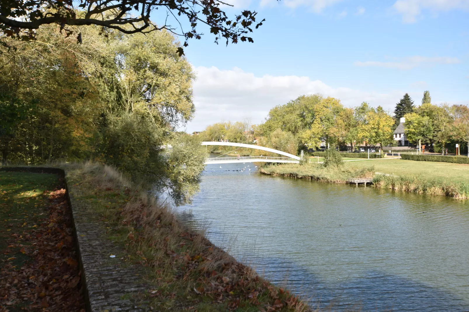 De bonte kat-Zones d'été à 1 km
