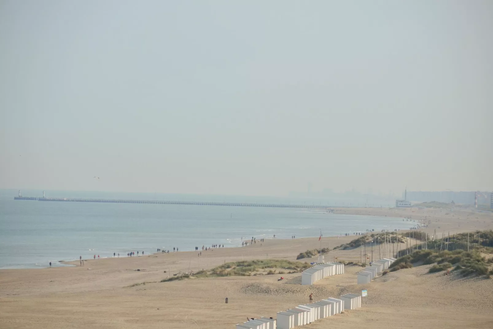 PLAZA A1/A1A02-Areas summer 5km
