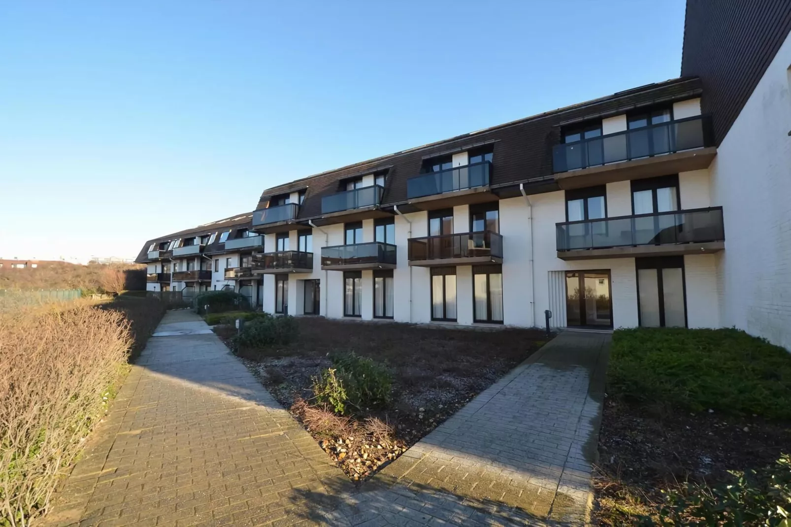 PLAZA Y/Y12-Exterior summer