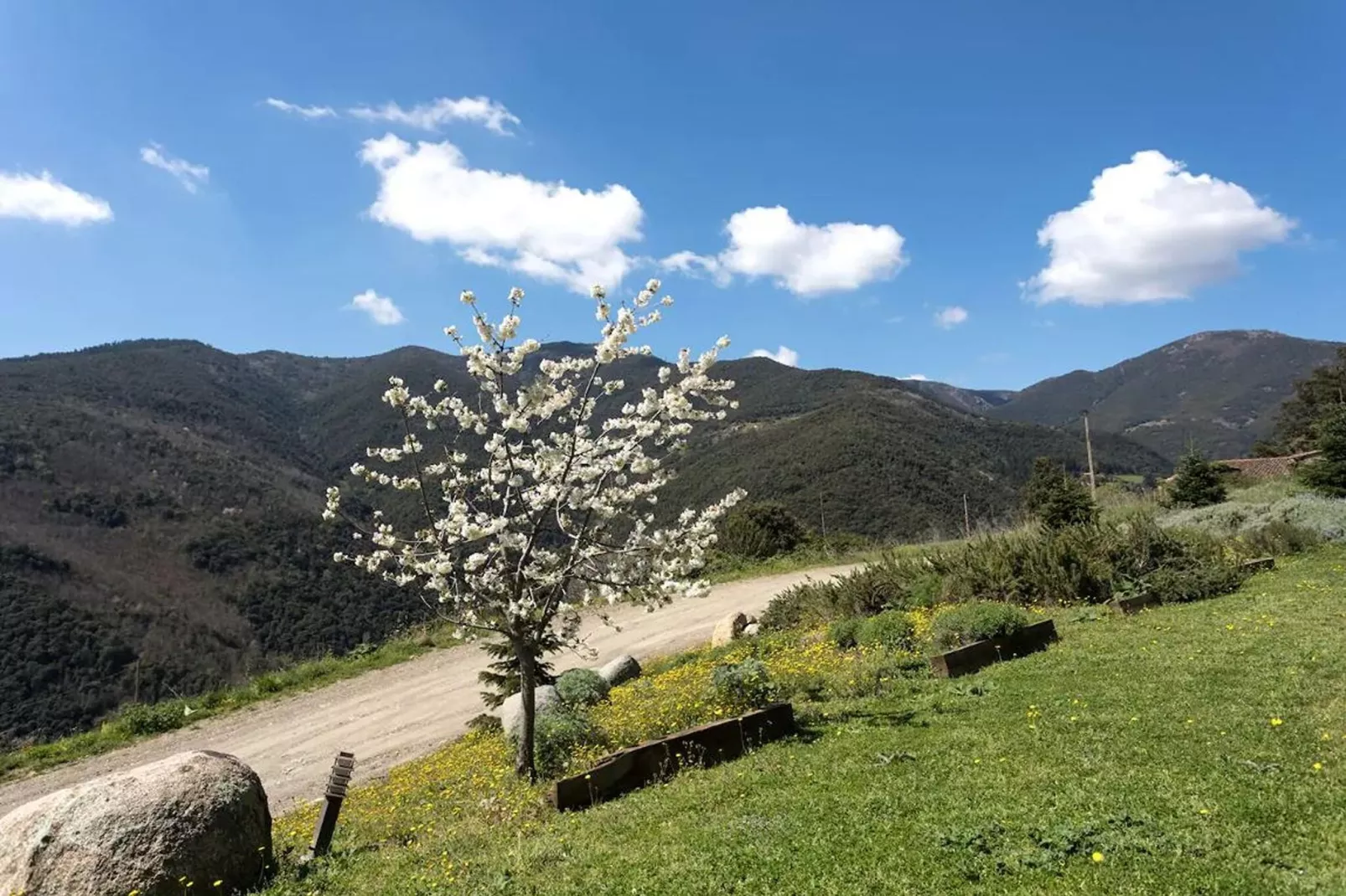 El Magraner-Areas summer 1km