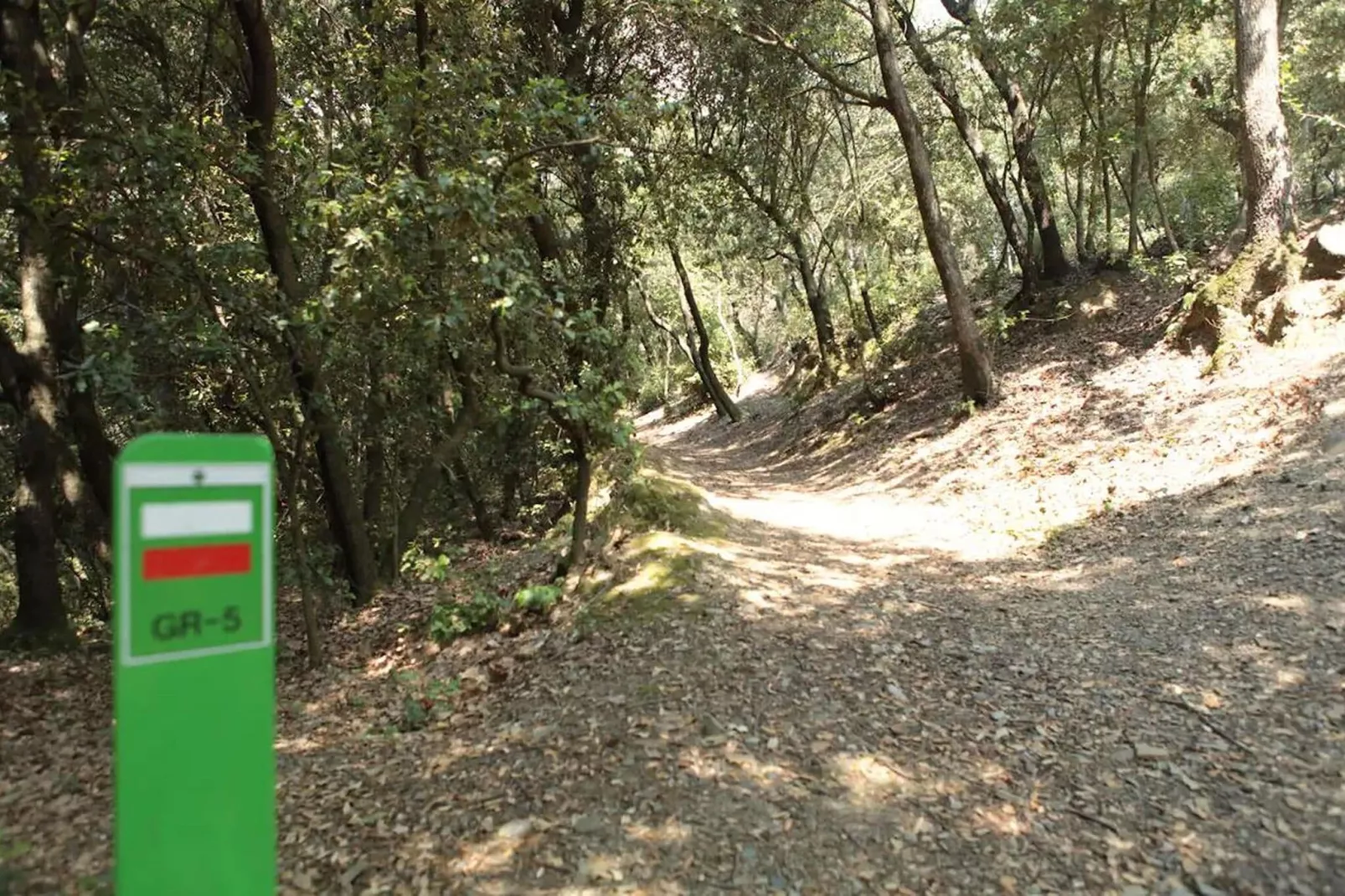 El Magraner-Areas summer 5km