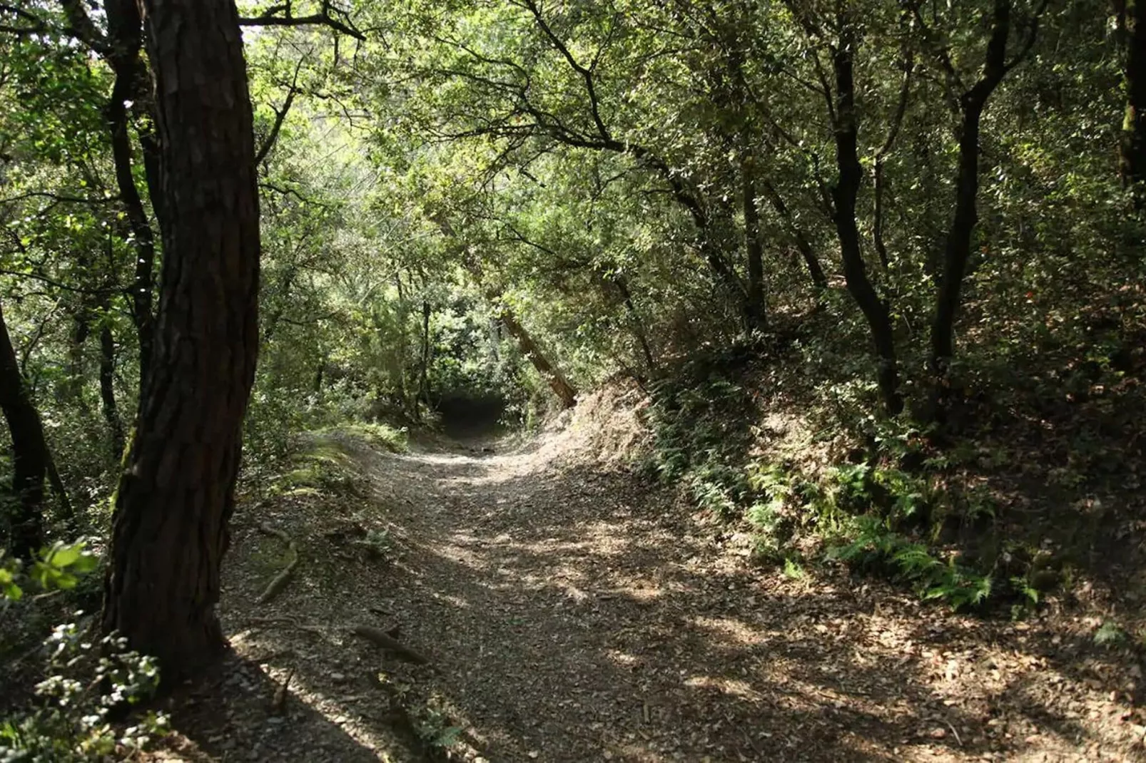 El Magraner-Areas summer 20km