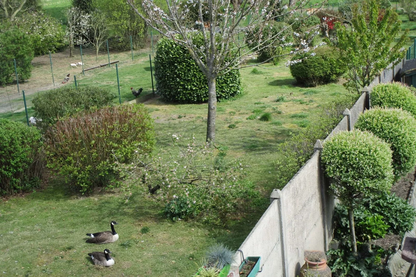 't Bloemenhof-Jardin d'été