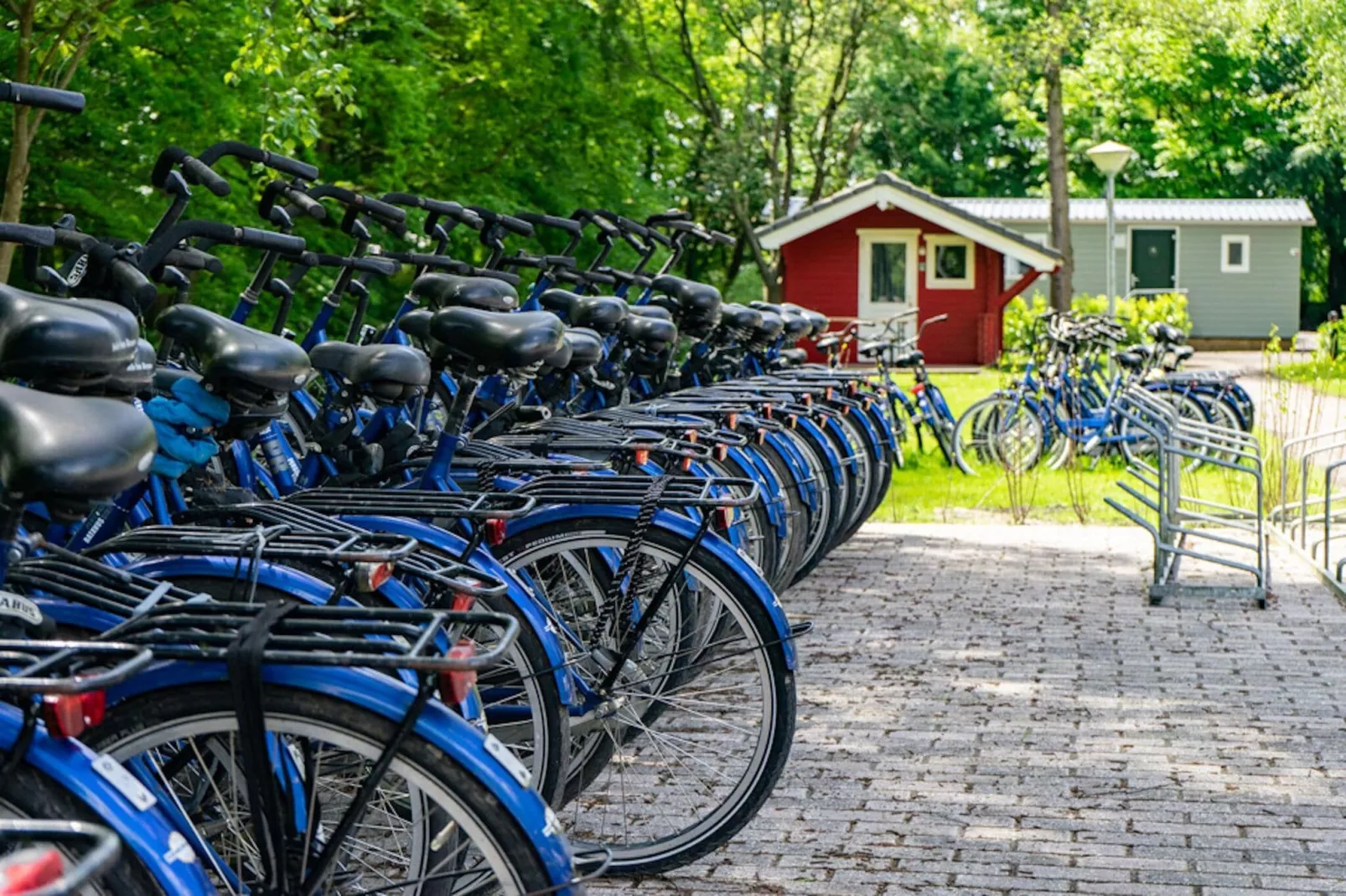 Resort Het Amsterdamse Bos 7-Park facilities