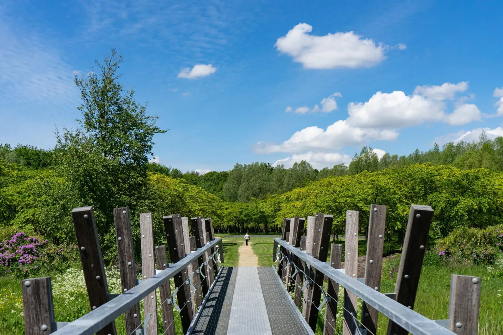 Resort Het Amsterdamse Bos 7-Areas summer 5km