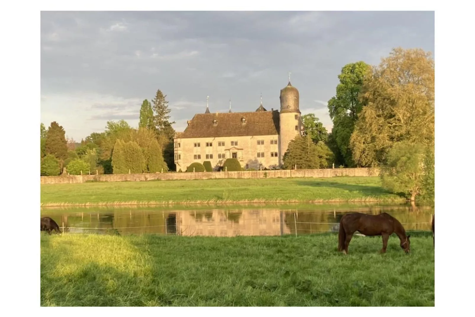 139767-Aussicht Sommer