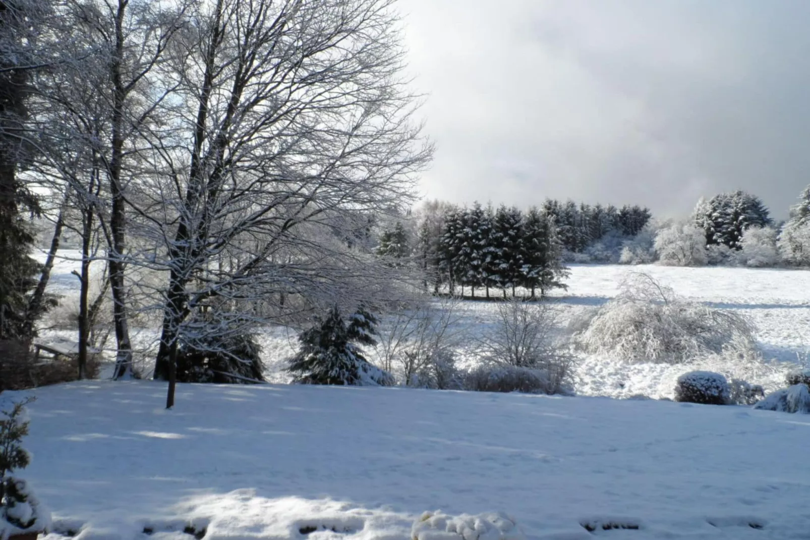 68020-Area winter 1km