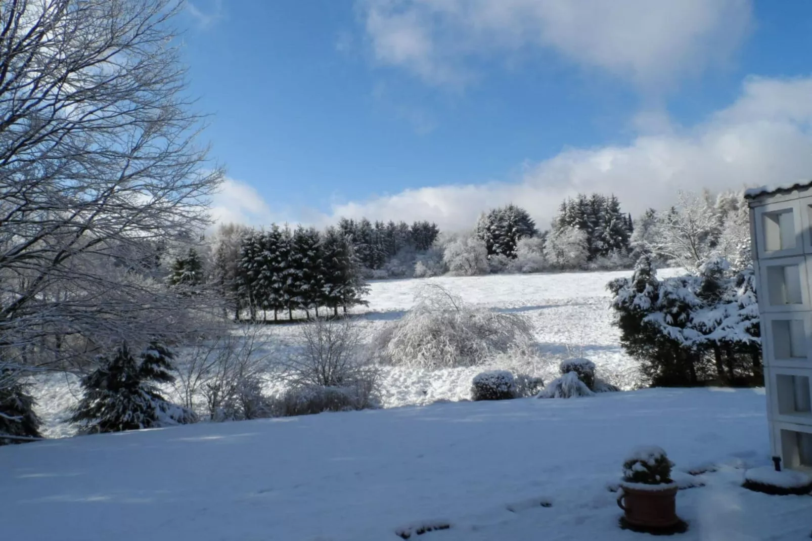 68020-Area winter 1km