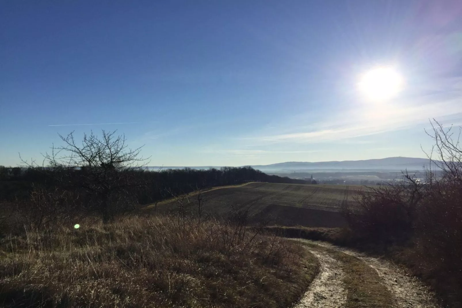 179124-Area winter 5km