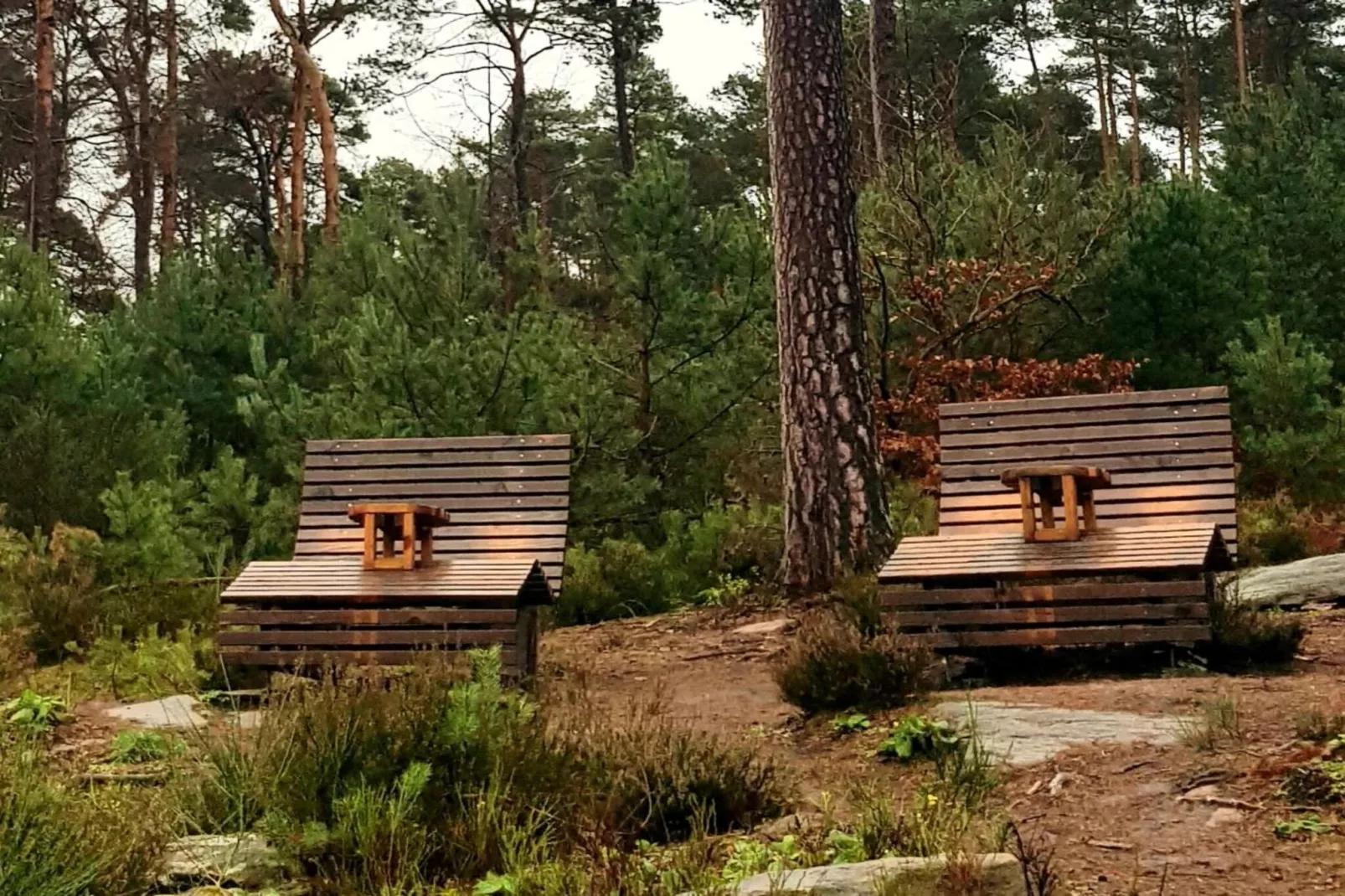 74967-Facilities