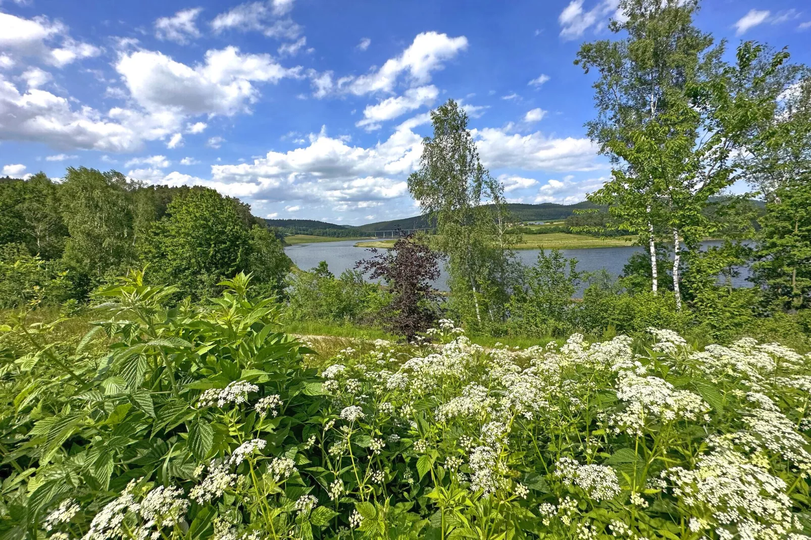 FERIENDORF SEEBLICK - Tiny Chalet am Eixendorfer See-Aussicht Sommer
