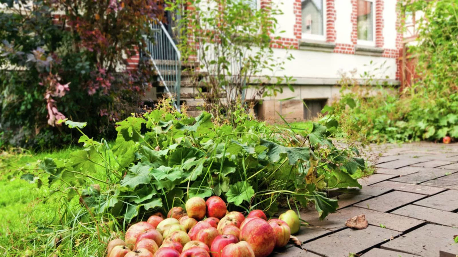 Oude Pastorie en Dorpsschool Netze-Waldeck-Gardens summer
