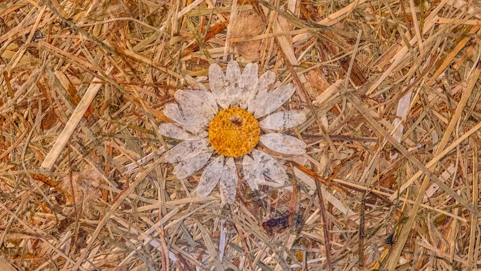 Tirola Platzl-Atmosphere