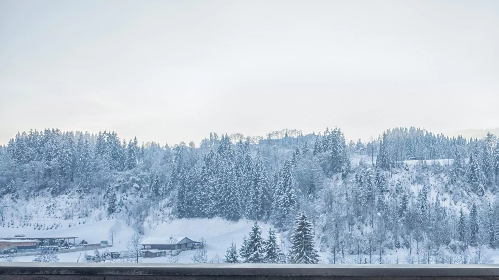 Tirola Platzl-View winter