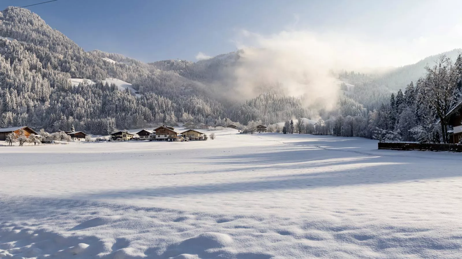 Platzhirsch-View winter
