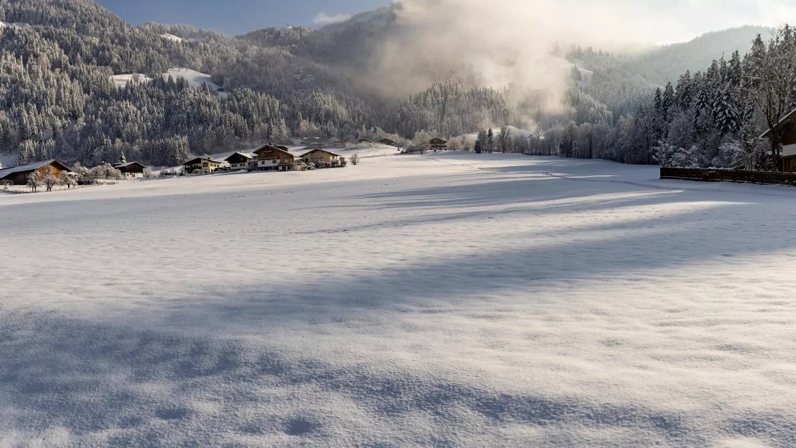 Platzhirsch-View winter