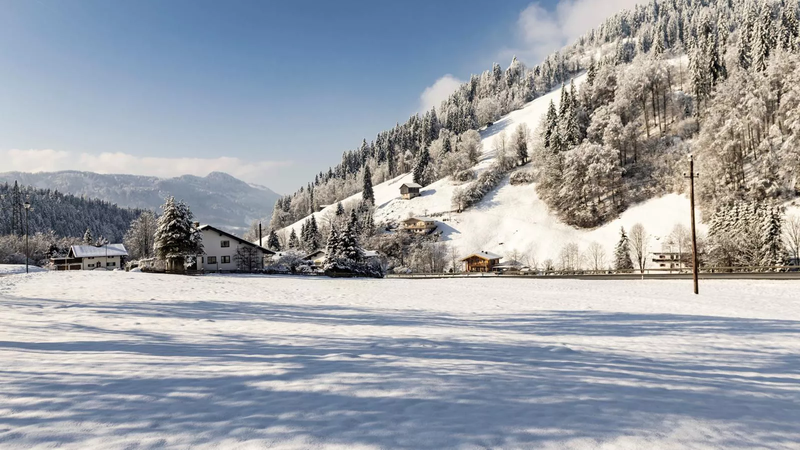 Platzhirsch-Exterior winter