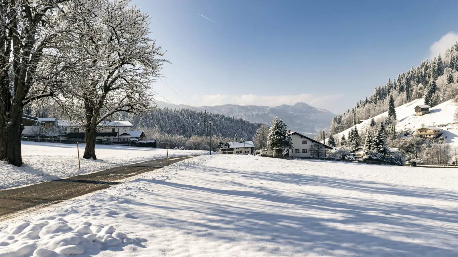Platzhirsch-Exterior winter