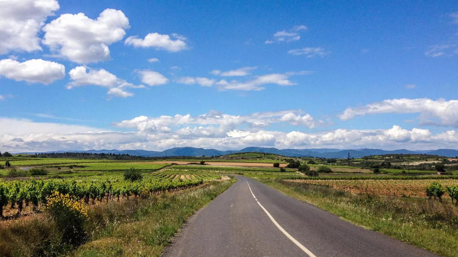Le Paradis-Areas summer 5km